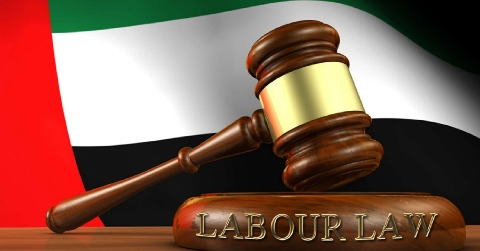 What is The New UAE Labour Law? Employment Guide 2025 3 What is The New UAE Labour Law? Employment Guide 2025