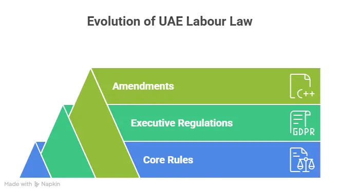 uae labour law structure infographic